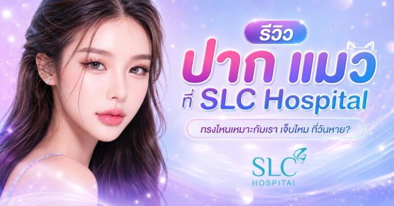 meowkiss-cat-lip-surgery-review